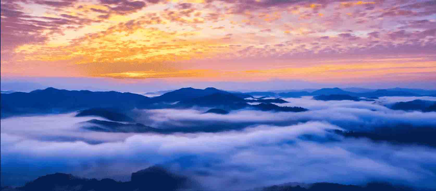 康恩特醫(yī)藥有限公司宣傳片